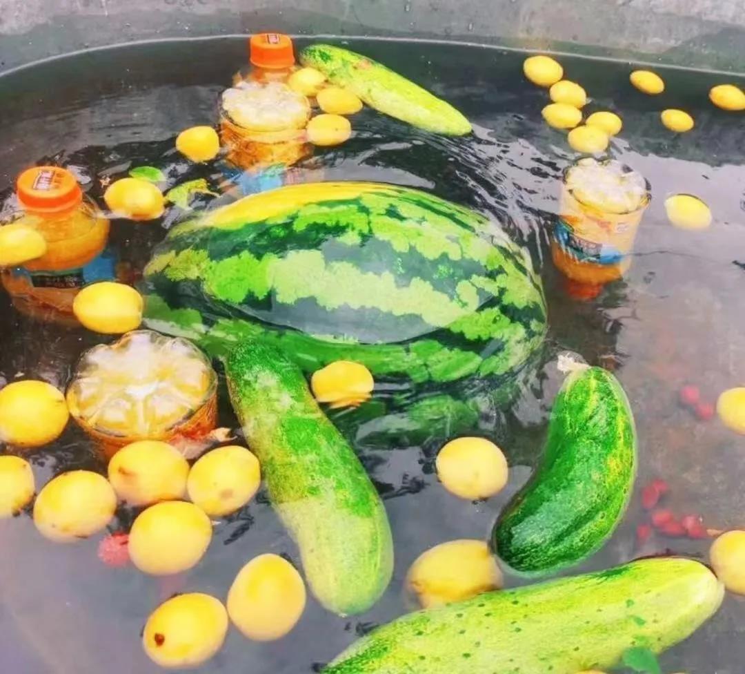尊时凯龙·(中国区)人生就是搏!