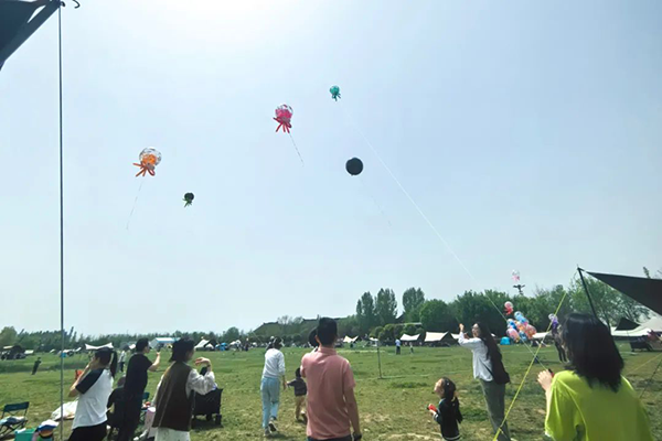 尊时凯龙·(中国区)人生就是搏!