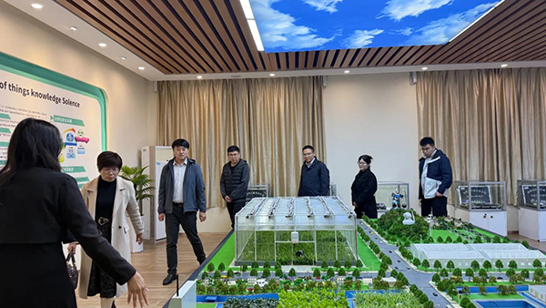 尊时凯龙·(中国区)人生就是搏!